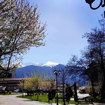 Monte Vista * Μπάνσκο